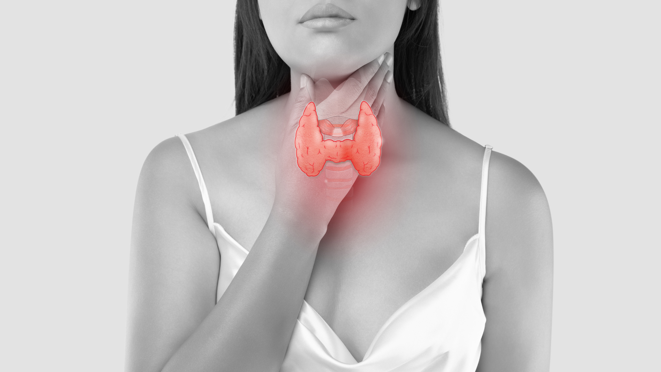 thyroid conditions and menopause